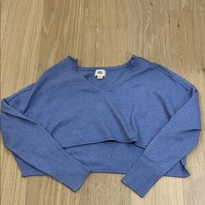 Cropped BDG - Women's Blue Sweater